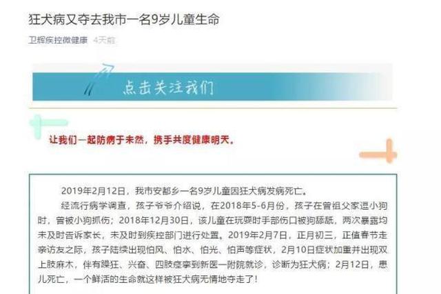 男童被狗舔舐伤口两月后狂犬病发死亡 疾控建议全村捕杀犬只