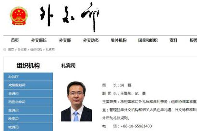 外交部原发言人洪磊履任新职 发言人卸任后都去哪