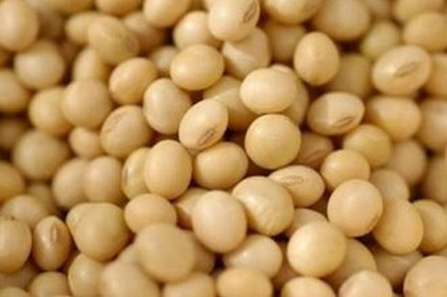 中国研发转基因种子首次在国际上获得种植许可