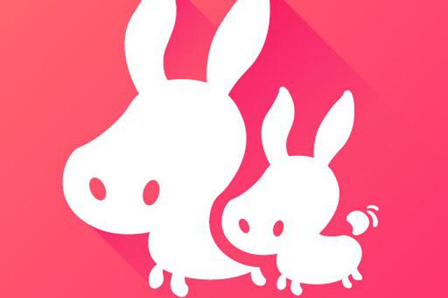 出境游市场疲软 南京驴妈妈取消出境游资质止损