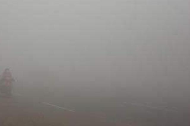 大雾橙色预警！徐州连云港等地出现浓雾 部分高速公路特级交通管