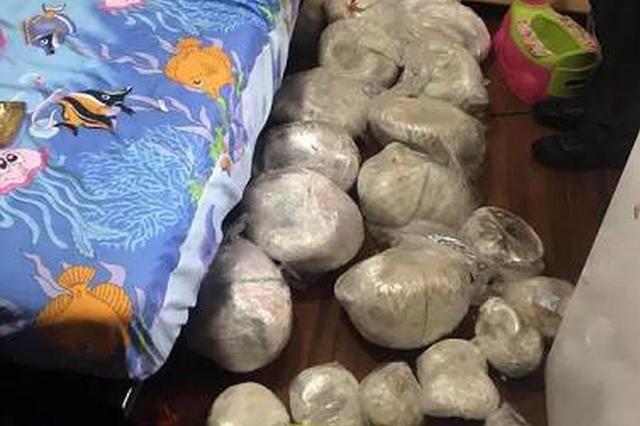 江苏首例！11只穿山甲沦为盘中餐 21人登报写检查还被追究刑责