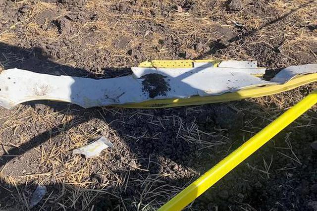 两名旅客与埃航空难擦肩而过：一人迟到 一人延误