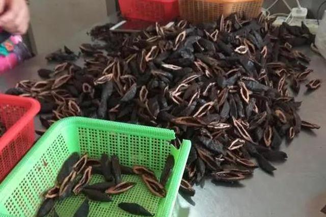 一年卖出百亿的槟榔广告被叫停 口腔癌患者哭诉