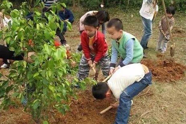 搭载互联网江苏大地新绿多 全省年均义务植树超八百万株