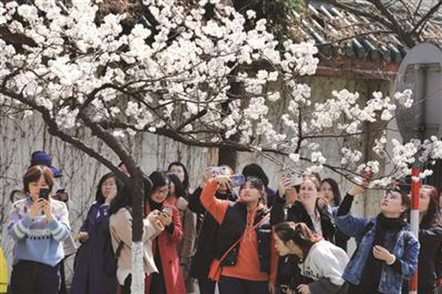 昨天南京最高达21℃，9日可能是南京的“入春日”