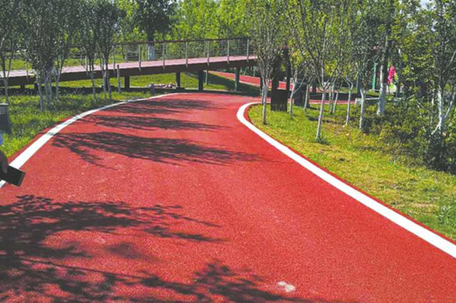 南京今年将建299公里绿道 酝酿在部分绿道设置健身器材