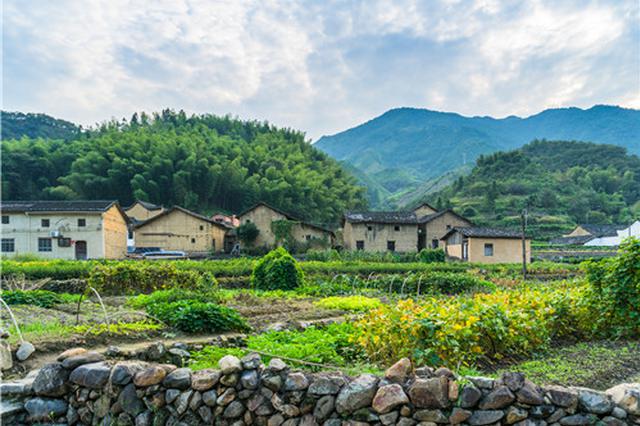 晒在阳光下 江苏农村“村务监督委员会”制度将全覆盖