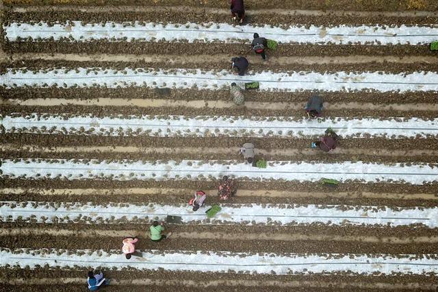 大雾、暴雨、狂风、雷电、大降温 这周都“配齐”