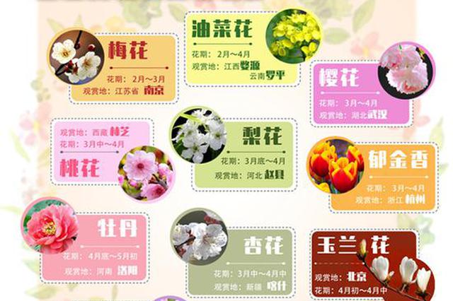 春季赏花指南来了！南京梅花、婺源油菜花、武汉樱花……