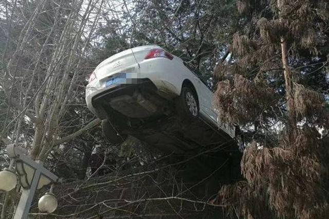 手刹没拉车子“溜”出1公里 车主以为车被偷报警