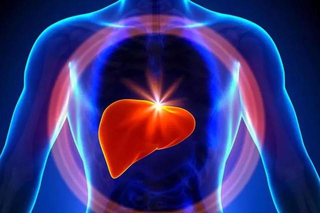 “全国爱肝日”专家提醒：警惕脂肪肝药物性肝损伤