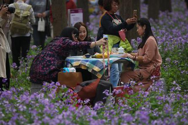 全国文明城市年度测评 南京位列第八