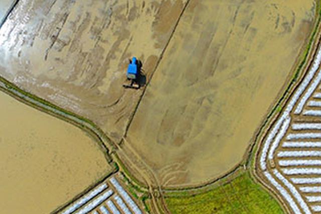 江淮气旋送来雷暴大风 多地出现小范围冰雹