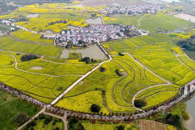 财政精准“滴灌 江苏近三年累计脱贫近200万人