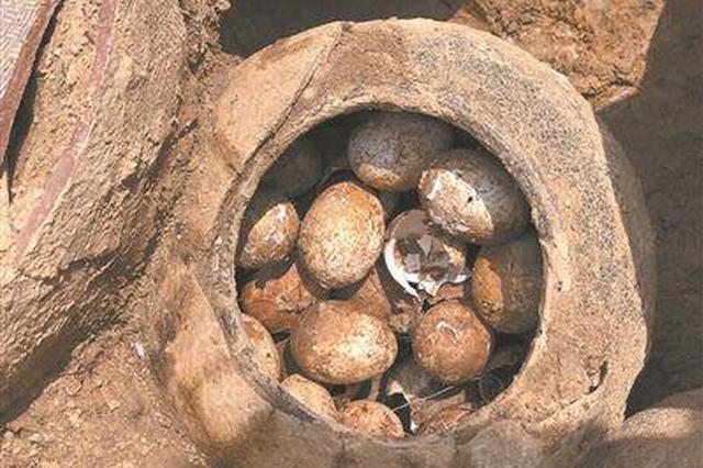 溧阳春秋古墓发掘惊人发现 一罐鸡蛋藏了2500年