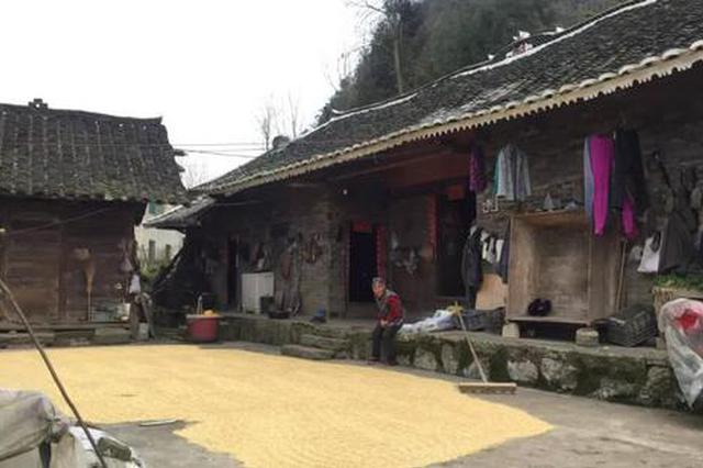 两初中生校园内互砍:杀人少年母亲称其系正当防卫