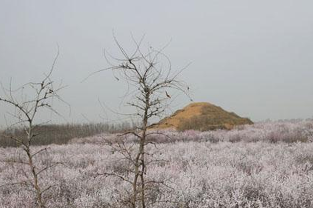 墓地价格高过房价 盐城大丰处分6名涉案党员干部