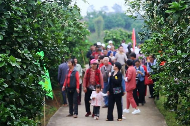 发改委：今年推进重点国有景区门票以更大力度降价