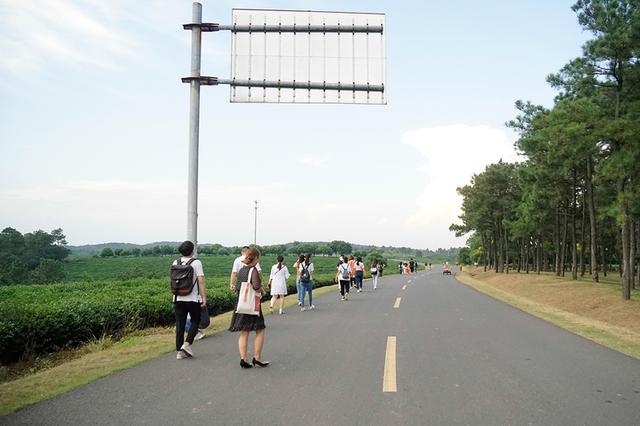 江苏南京：千里绿道 串起美景惠民生
