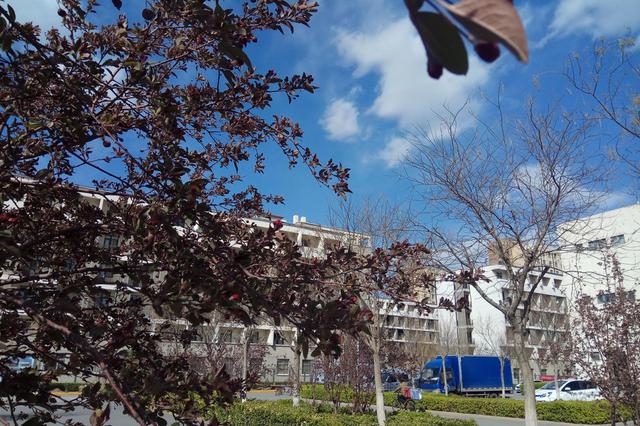 南京大学教师论文抄袭等4起违反师德案例被通报