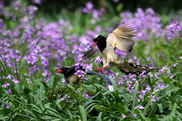 江苏"夏天"今又强势踢馆 明日气温"满减促销&quot