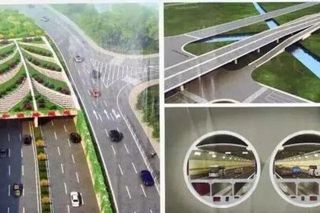 和燕路过江通道有新进展 南京这些过江通道正在建设中