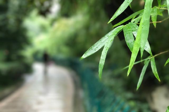 迎难而上 打赢蓝天保卫战