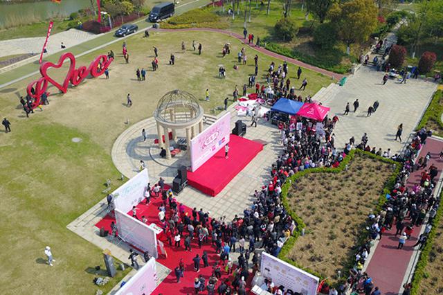 登圌山 百病消 25.6万人赴约镇江东乡“黄明节”