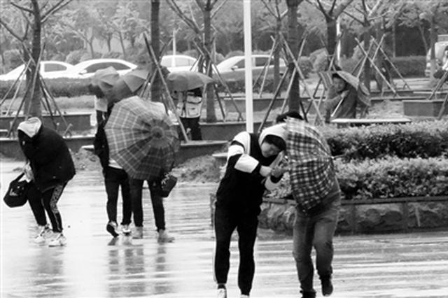 一秒“天黑” “南京暴雨”昨登热搜榜