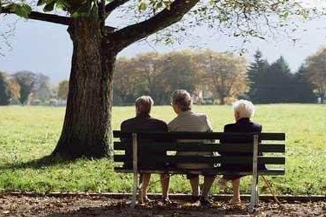 直面民生诉求 老人助餐点如何“叫好又叫座”