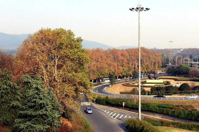 南京在主城打造农业服务产业园 种好城里“一亩田”