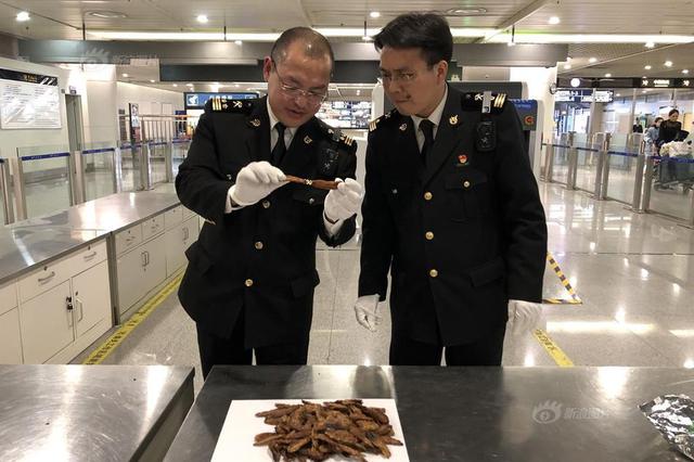 常州市白蚁防治中心发布预警：常州即将迎来白蚁纷飞