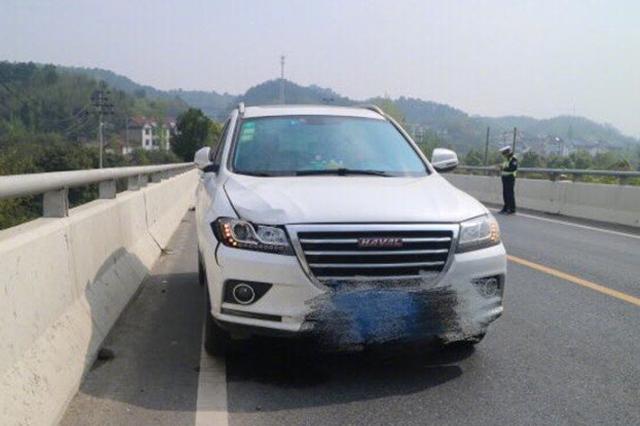 高职女生见陌生人被撞 跟踪肇事嫌疑人近20公里