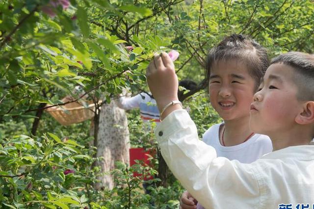 南京新增15所江苏省优质幼儿园