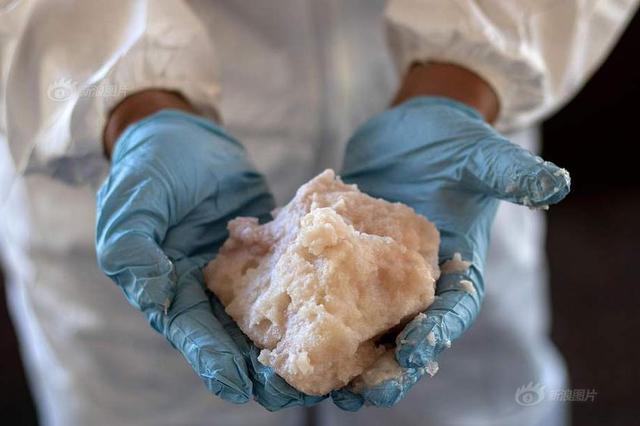 看电视发现吸食冰毒的人都很瘦，这位胖妹果断也吸上了