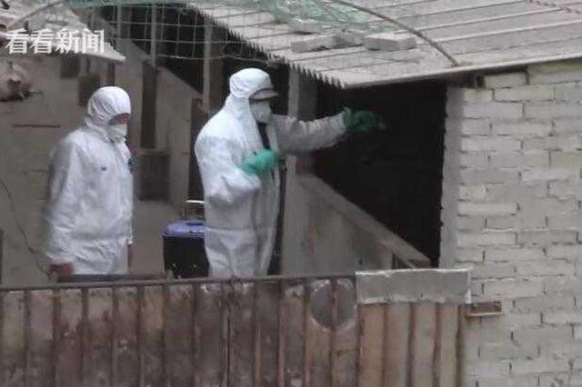 农业农村部：非洲猪瘟疫情发生势头趋缓 猪肉产量同比减少