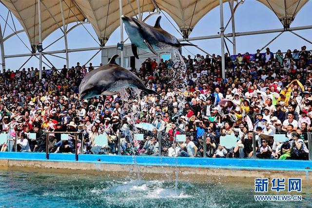 传统消费提质升级 “五一”消费品市场销售额增8.4%