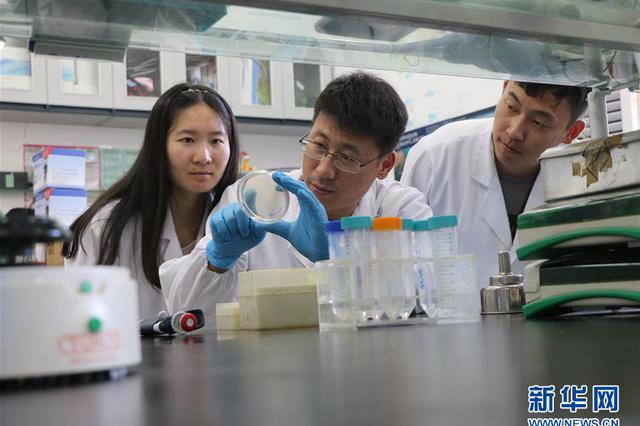 徐州版“药神”案8人免于起诉