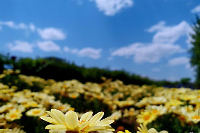 江苏上月优良天数占比超八成  仪征江阴丰县等空气质量排名靠后