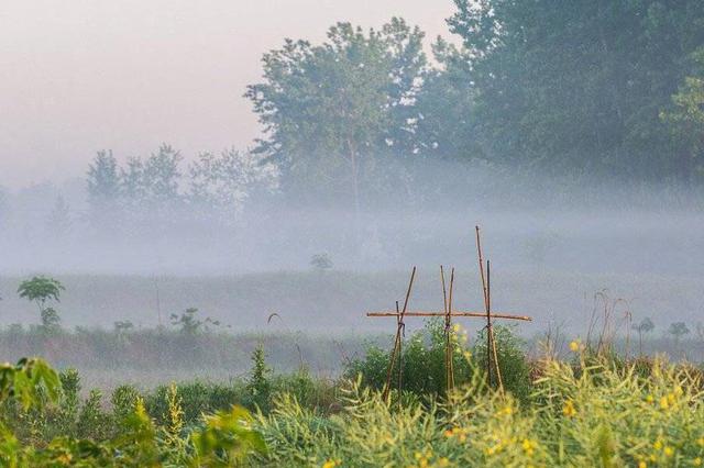 乡村产业融合发展路更宽 今年将建一批先导区