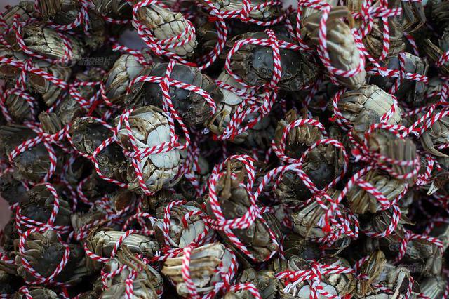 射阳成全国大闸蟹的“幼儿园” 射阳蟹苗卖出3亿多元