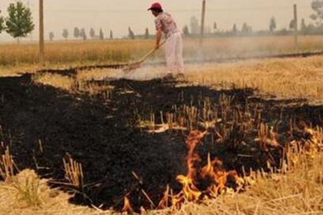 5月20日起 江苏省全面启动2019年夏季秸秆禁烧巡查