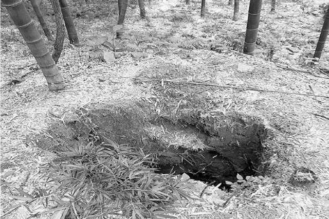 宜兴3人盗晋墓文物无法出手只好分赃：西晋瓷碗当烟缸