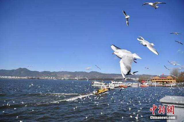 小龙虾上物种入侵名录 网友：对我这个吃货的侮辱