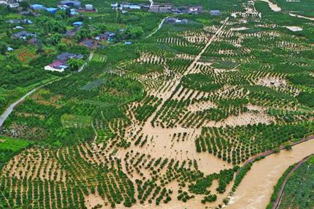 江苏新增两所国家水情教育基地 淮安市清晏园入围