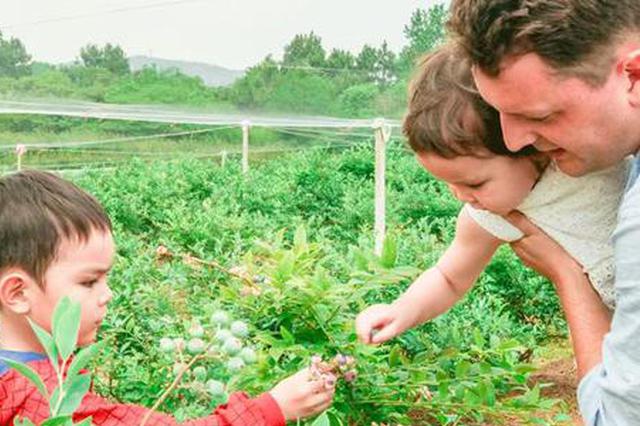 德国小伙偶遇南京女孩 带着祖传手艺跑来当农民