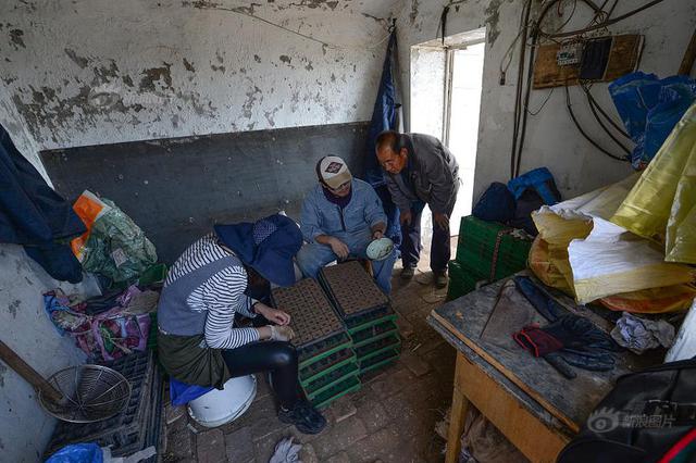 江苏5000余大学生报名 志愿服务西部计划、苏北计划