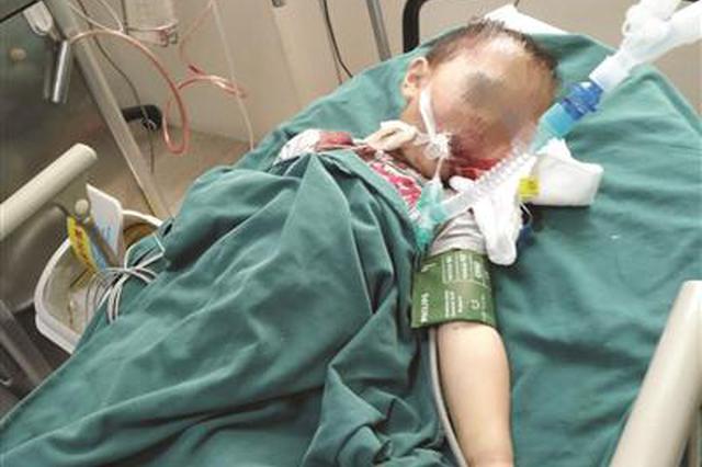 200多斤重钢化玻璃从墙上剥落 4岁男孩被砸身亡