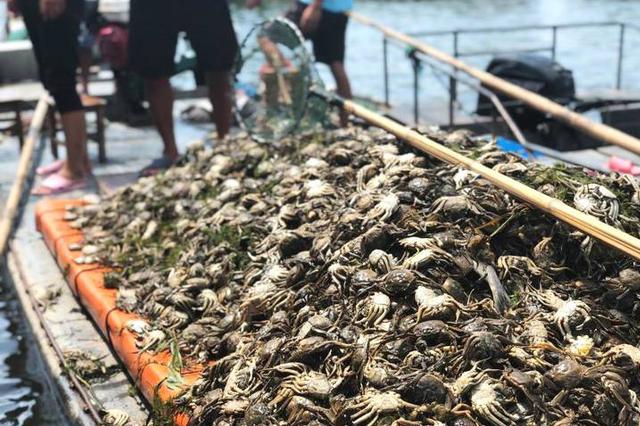 江苏环保失信企业用电要加价 差别电价对象半年一评